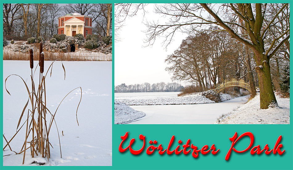 Winter im Wörlitzer Park