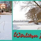 Winter im Wörlitzer Park