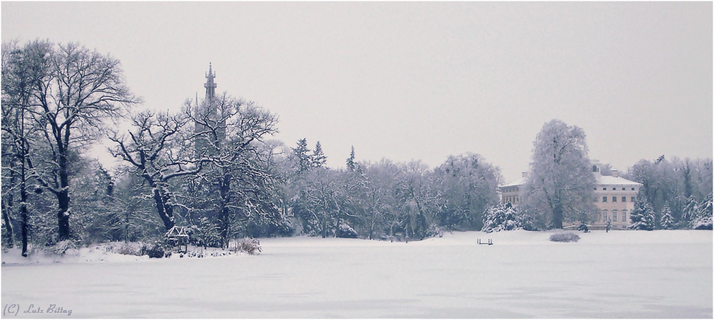 Winter im Wörlitzer Park