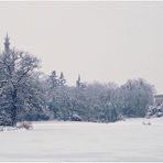 Winter im Wörlitzer Park