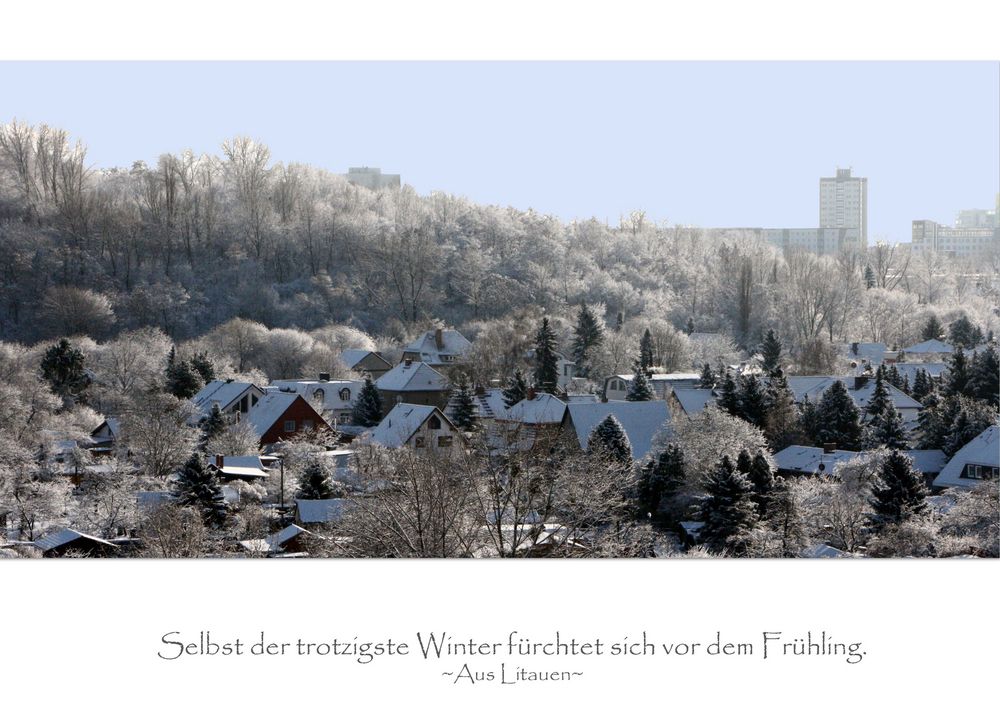 Winter im Wohngebiet