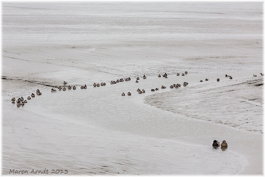 Winter im Wurster Watt