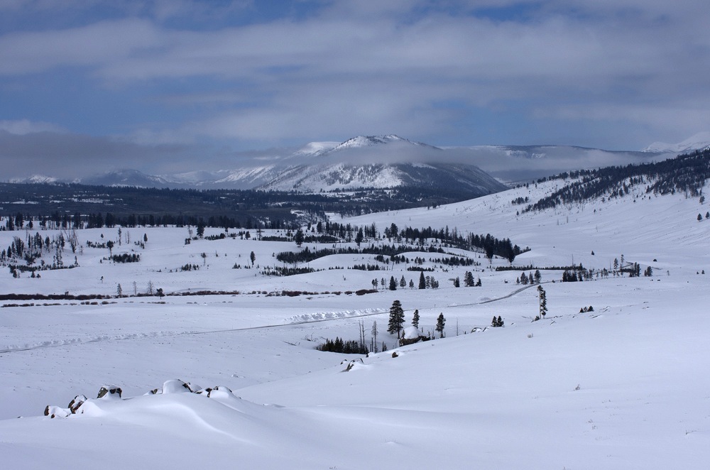 Winter im Yellowstone Nationalpark