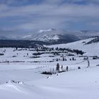 Winter im Yellowstone Nationalpark