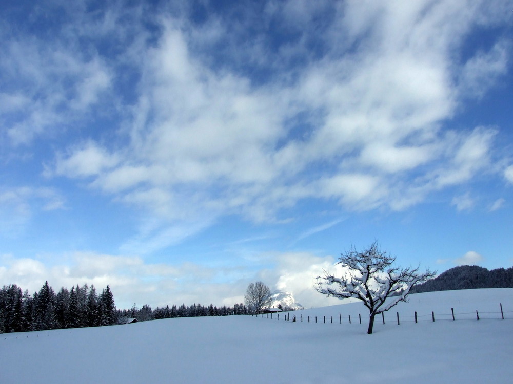 Winter im Zauberwinkl