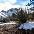 Winter im Zion