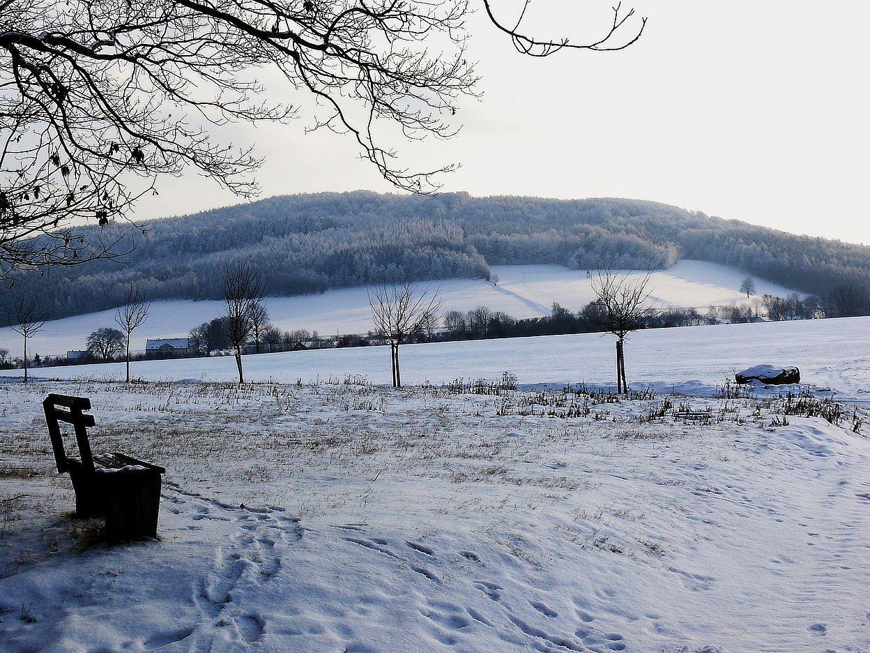 Winter im Zittauer Gebirge