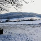 Winter im Zittauer Gebirge