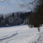 Winter im Zittauer Gebirge