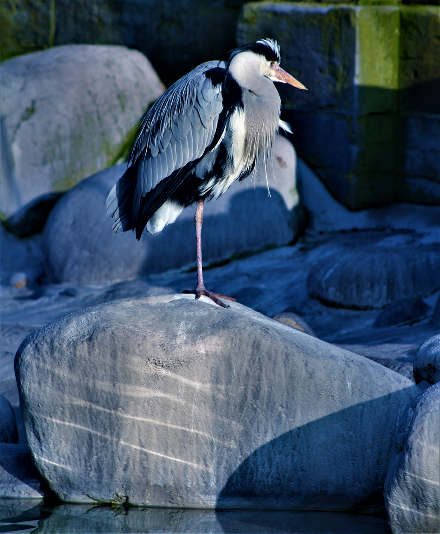 Winter im Zoo