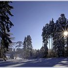 Winter im Zürcheroberland