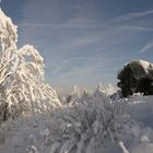 Winter-Impression 1