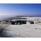 Winter-Impression-1