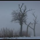 Winter - Impression 1