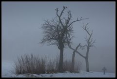 Winter - Impression 1