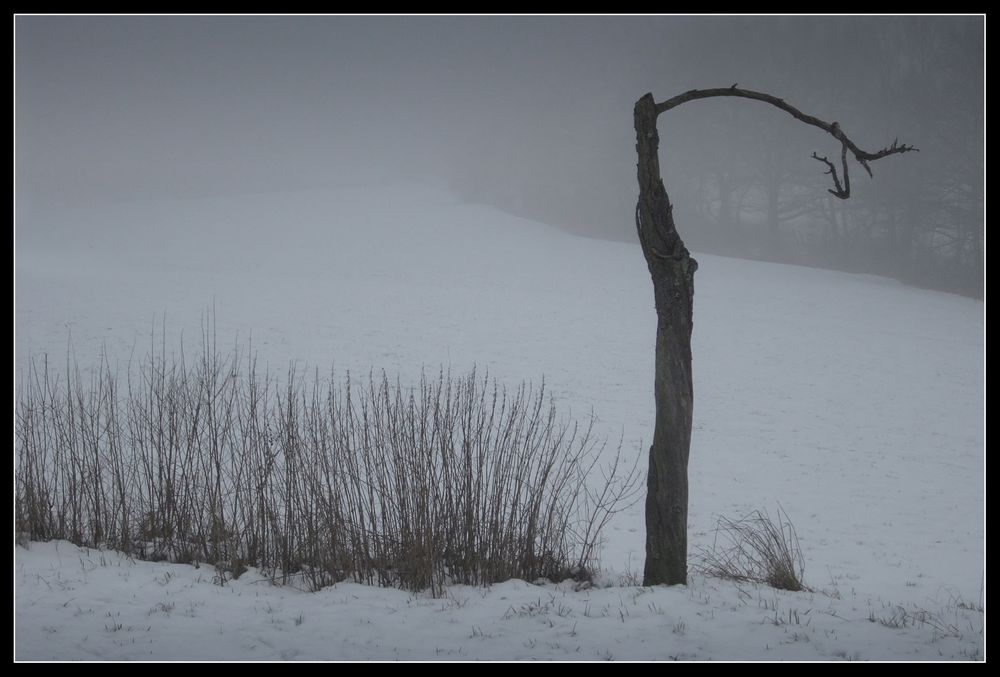 Winter - Impression 2