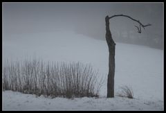 Winter - Impression 2