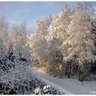 Winter-Impression 2