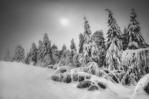 Winter Impression