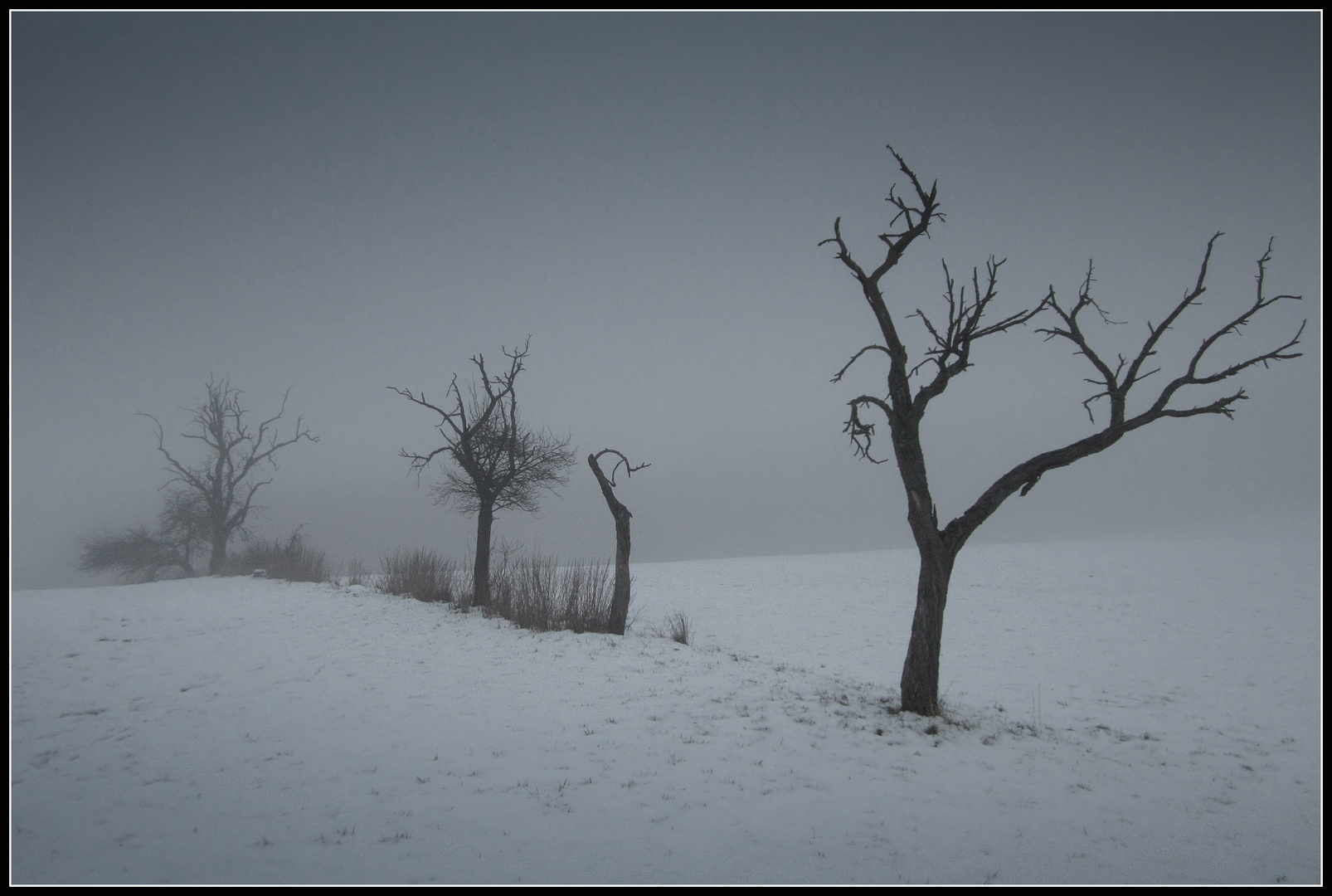 Winter - Impression 4