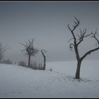 Winter - Impression 4