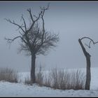 Winter - Impression 5