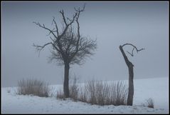 Winter - Impression 5