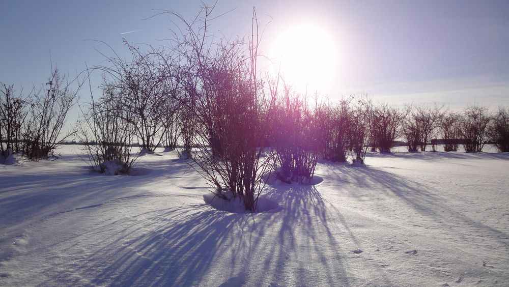 winter impression von steffen naumann 