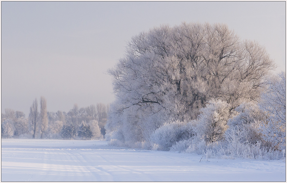 Winter Impression