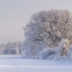 Winter Impression