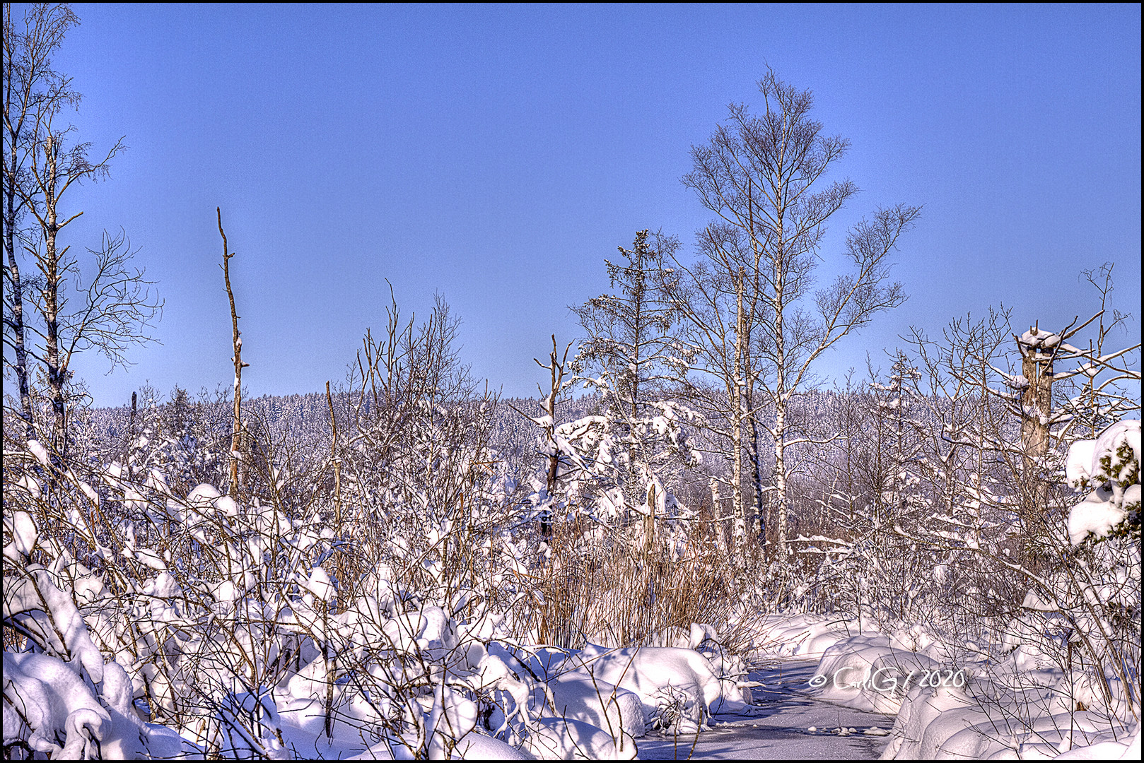 Winter Impression 