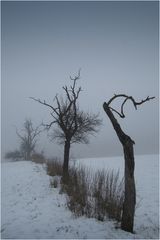 Winter - Impression 8