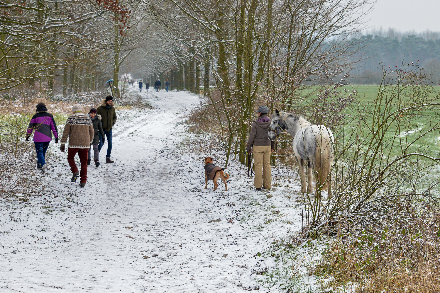 Winter Impression. 