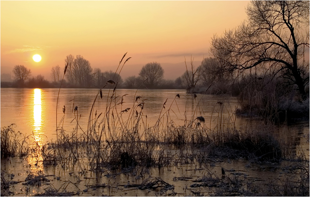 Winter-impression am See