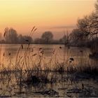 Winter-impression am See