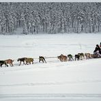 Winter-Impression aus Lappland