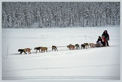 Winter-Impression aus Lappland