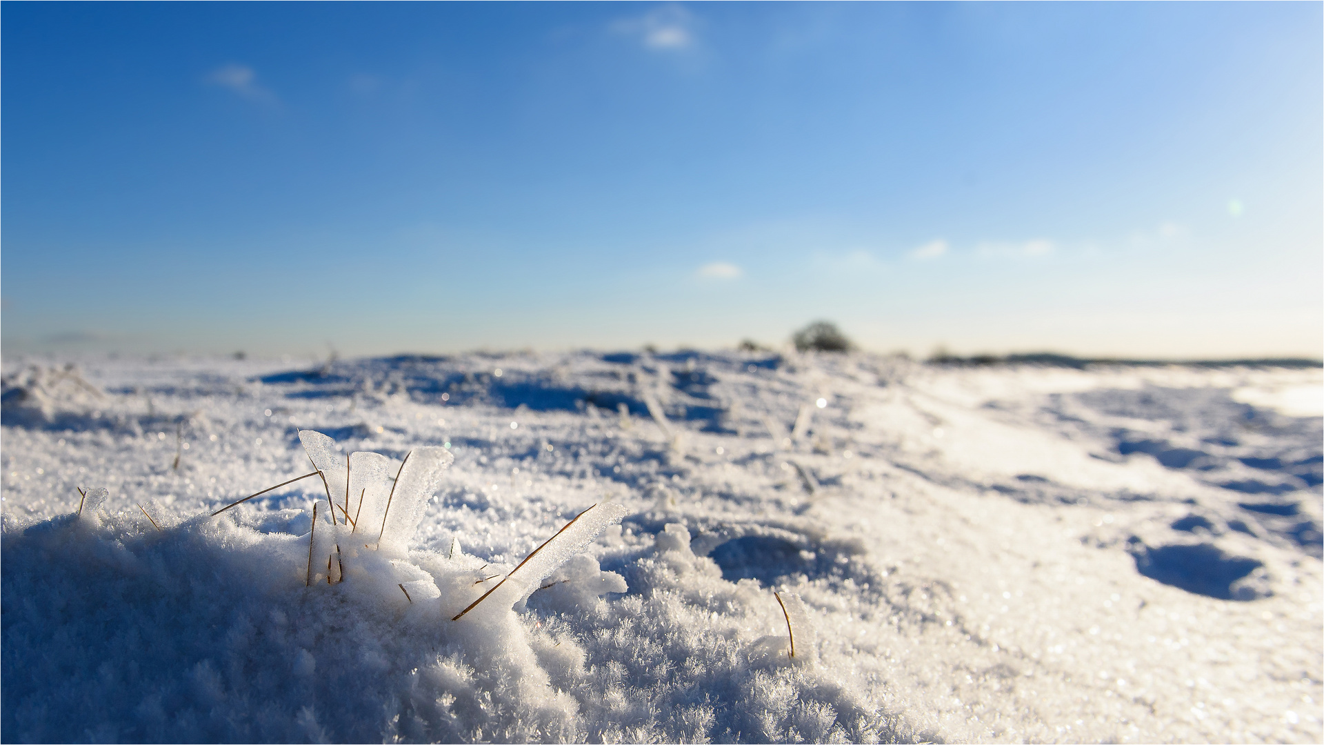 Winter-Impression