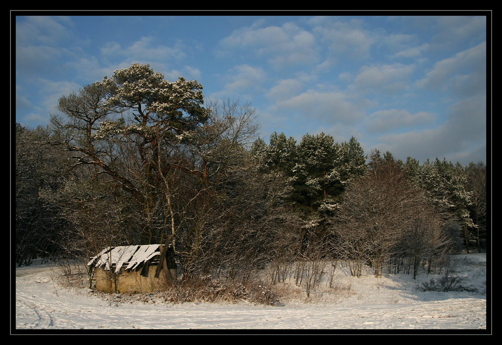 Winter impression