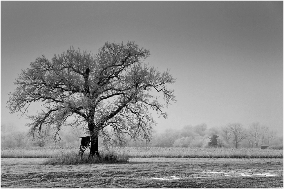 Winter - Impression