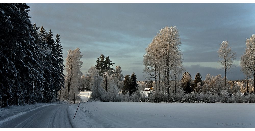 Winter Impression