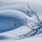 Winter Impression - III