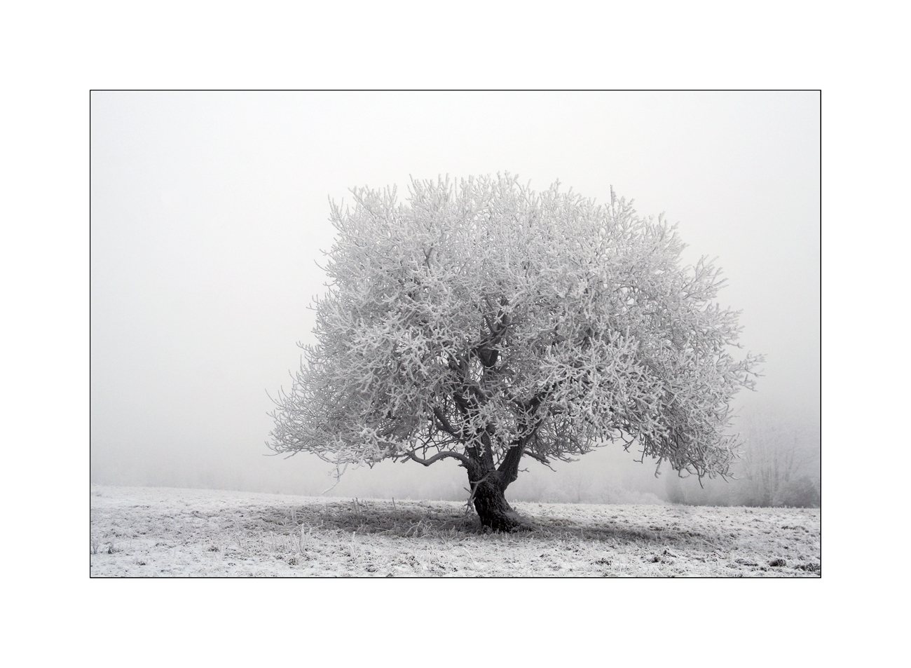 Winter  |  Impression  |  Nordböhmen  |  Severní Cechy