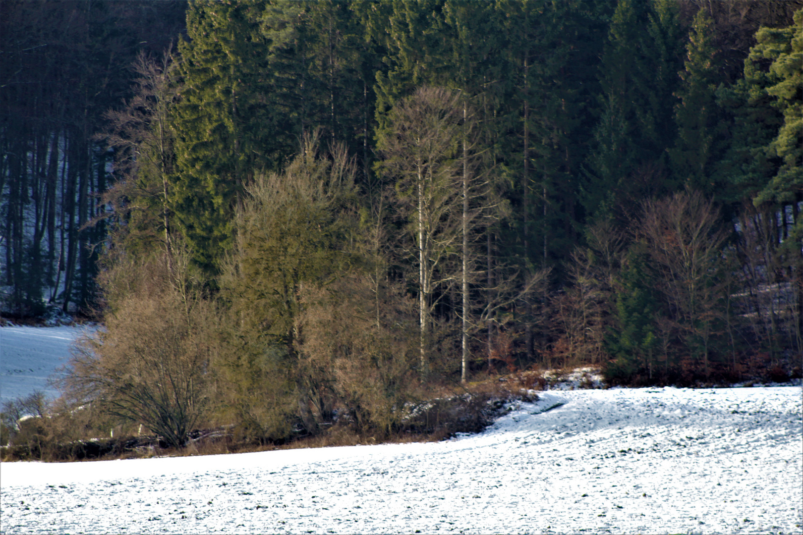 Winter Impression schwäbische Alb