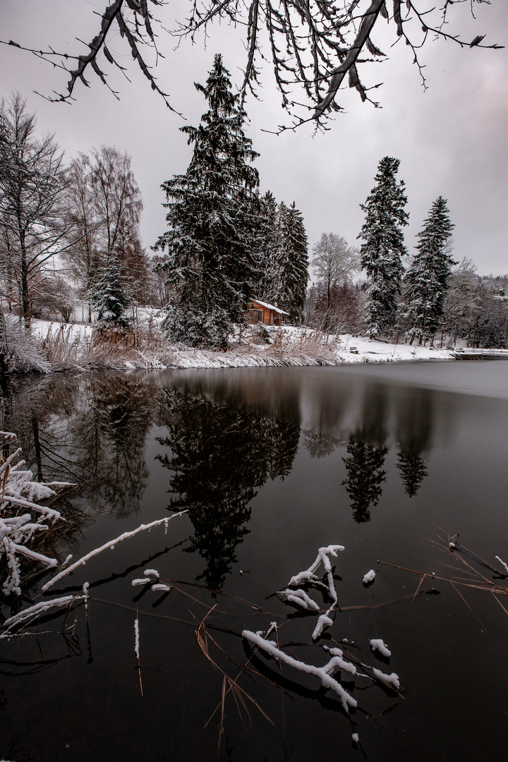 Winter Impression vom Ebnisee