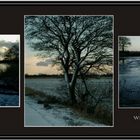 winter impression1