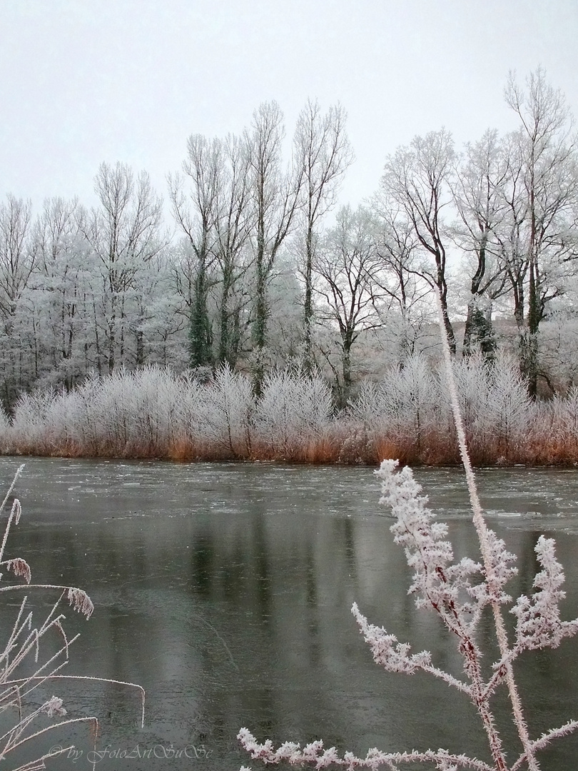 Winter-IMPRESSIONEN 3