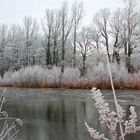 Winter-IMPRESSIONEN 3