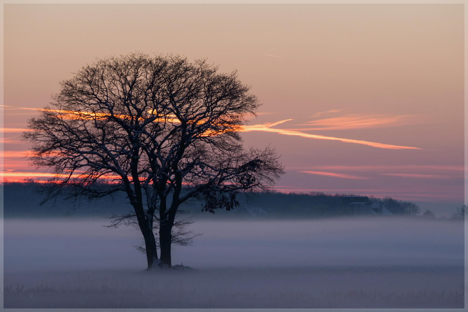 Winter-Impressionen (4)