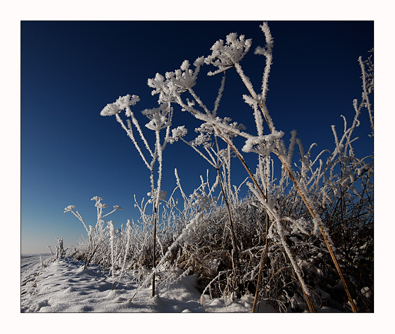 Winter Impressionen - 4.